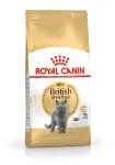 Royal Canin British Shorthair Adult kuivtoit kassidele, 10 kg