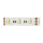 Synergy 21 LED Flex Ribalint 5050 - 60 RGB DC24V + RGB-W &uuml;he kiibiga KW IP68