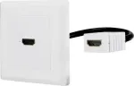 Renkforce RF-4538136 HDMI-adapter[1x HDMI-pistikupesa - 1x HDMI-pistikupesa] Valge Kullatud - Adapter - Digitaalne/Ekraan/Video
