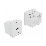 DeLock 81311 Easy 45 USB Type-A laadimispordi moodul, 3 A, valge