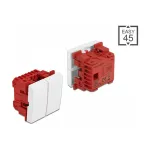 DeLOCK Easy 45 l&uuml;litiklahv 2-gang, 45 x 45 mm, valge, 250 V AC 10 A
