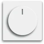 Busch-jaeger 2CKA006599A2953 valge