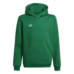 adidas Entrada 22 Hoody laste dressipluus roheline 116cm