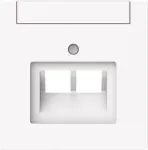 BUSCH-JAEGER 1803-02-44G Zentralscheibe 2-fach UAE Beschriftungsf (2CKA001710A4227)