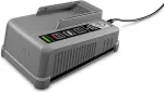 K&auml;rcher Professional Battery Power+ kiirlaadija 2.445-045.0