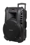 ACTIVE KEY Aktiivk&otilde;larikapp 2 juhtmevaba UHF-mikrofoniga, SD, Bluetooth, FM, USB, 60 W