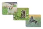 Hama Animal 4-pordiline USB 2.0 jaotur USB-C pistikuga, pruun/valge koera kujundusega