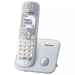 DECT-telefon Panasonic KX-TG6811GS