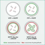 VALUE - Paigalduskaabel - RJ-45 (M) - RJ-45 (M) - 10 m - SFTP, PiMF - CAT 6a - halogeenivaba, vormitud, takerdumisvastane, keerutatud - kollane (21.99.1937)