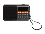 Kaasaskantav analoog AM/FM Bluetooth raadio BLOW RA18 FM-tuuneriga ja Bluetooth-&uuml;hendusega