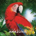 Life of the Amazonia, lauam&auml;ng