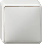 GIRA 010613 elektril&uuml;liti valge (010613)