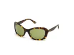 WEB EYEWEAR naiste p&auml;ikeseprillid WE0289-5652N Havana atsetaat ruudukujulise raamiga pruuni gradiendi l&auml;&auml;tsedega 56/19/130 mm