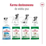 ROYAL CANIN Mini Ageing Adult +12 - kuiv koeratoit - 3,5 kg