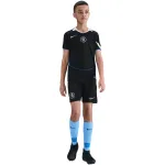 Nike Chelsea FC 2025/26 Stadium Third laste jalgpallis&auml;rk must M