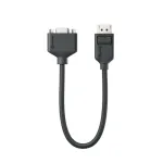 ALOGIC DP-VGA-adapter EL2DPVGA-ADP 20 cm DisplayPort (meessoost) VGA-sse (naissoost)
