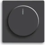 BUSCH JAEGER 6540-885-102 - Schwarz - Busch-Jaeger - 2112 U-101/2116(/11) U/ 2117(/11) U/2247 U/2250 U/6513 U-102/6517 U-10x/6519 U/6520 U/6523 U(10x)