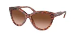 Michael Kors Naiste P&auml;ikeseprillid MK2158-34453B Tume Kilpkonnakarva Pruun Gradient 55mm
