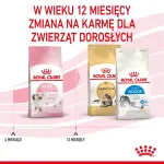 Royal Canin FHN Kitten kuivtoit kassipoegadele, 4 kg