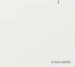 BUSCH JAEGER BJ SAP.13 System Access Point 3.0 (2CKA006200A0868)