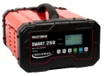 WELDMAN SMART 250 inverter-alaldi 12V/24V koos k&auml;ivitusfunktsiooniga