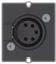 Bachmanni erimoodul 1 x XLR-pistikupesa &ndash; modulaarne esipaneeli snap-in &ndash; XLR (5-kontaktiline) &ndash; must (917.101)