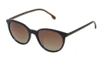 LOZZA Naiste p&auml;ikeseprillid SL4178M516X8P Havana Kilpkonnamustriga atsetaat Ristk&uuml;likukujulised Polariseeritud UV400 51mm