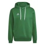 adidas Entrada 22 Higi Kapuutsiga Dress Team Green 2XL