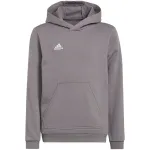 adidas Entrada 22 Hoody laste dressipluus hall 152 cm