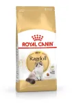 Royal Canin FBN Ragdoll Adult kuivtoit kassidele, 2 kg