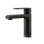 Valamu segisti THEMA LUX DF12301-1 matt must