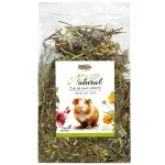 Kuivatatud &uuml;rdisegu merisigadele Alegia Herbs for cavia 100 g &mdash; 100 g kotike, gluteeni- ja suhkruvaba