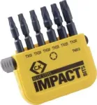 C.K. Bit-Set 6-piece TORX Torsion Control Technologie (T4513)