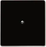 Busch-Jaeger 2138-31 - pruun - matt - Busch-Jaeger - IP44 - 71 mm - 71 mm (2CKA001710A3799)