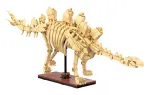 Ehituskomplekt Jamara CaDA Dinosaur fossil Stegosaurus &mdash; 297 tk, vanusele 8+, beež/pruun