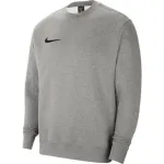Meeste Nike Park 20 fliisist dressipluus tumehall heather / valge CW6902 063