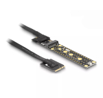 DeLOCK Riser Card NVMe M.2 Key A+E isane Key M pesa k&uuml;ljes, 20 cm kaabel