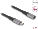Delock - USB-pikenduskaabel - 24 kontaktiga USB-C (isane) 24 kontaktiga USB-C (emane) - USB 2.0 / USB 3.2 / USB4 / Thunderbolt 3 5 A - 1,0 m - must, hall (81201)