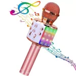 HQ Royal Song WS-858 Karaoke Kids & Adult Fun Effect Microphone with Speakers & Record Micro SD USB