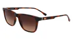 Lacoste L6041S-214 Meeste ristk&uuml;likukujulised p&auml;ikeseprillid Havana atsetaatraamiga, pruun pol&uuml;karbonaat l&auml;&auml;ts, 54mm