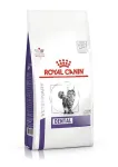 Royal Canin Dental kuivtoit kassidele, 1,5 kg
