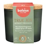 BOLSIUS True Joy l&otilde;hnav k&uuml;&uuml;nal klaaspurgis korgist kaanega, Botanic Freshness, &Oslash;66 x 83 mm