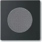 Seinaplaat / l&uuml;litikate Busch-Jaeger 8200-0-0126 &mdash; must, tavaline disain, 63&times;63 mm