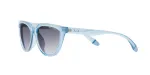 ARMANI EXCHANGE Naiste p&auml;ikeseprillid AX4130SU8340X Havana Brown 56mm