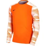 Nike Dry Park IV JSY LS GK Junior v&auml;ravavahi džemper oranž CJ6072 819 S