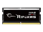 G.Skill Ripjaws F5-4800S4039A16GX1-RS memory module 16 GB 1 x 16 GB DDR5 4800 MHz