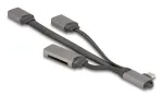 DeLOCK 64303 USB 3.2 Gen 1 USB-C Hub 5000 Mbit/s Hall