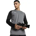 Puma teamPACER GK LS meeste v&auml;ravavahi dressipluus hall 704933 43 M
