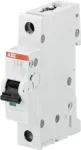 ABB STOTZ-KONTAKT ABB 2CDS251001R0405 kaitsel&uuml;liti Miniatuurne kaitsel&uuml;liti (2CDS251001R0405)