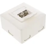 Seinasisestuskarp InLine Cat.6 2x RJ45 horisontaalne &mdash; pind- v&otilde;i s&uuml;vispaigaldus